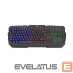 Arvuti klaviatuur White Shark  GK-2105 Dakota US 