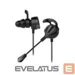 Wired headphones White Shark  GE-537 Blackbird Black