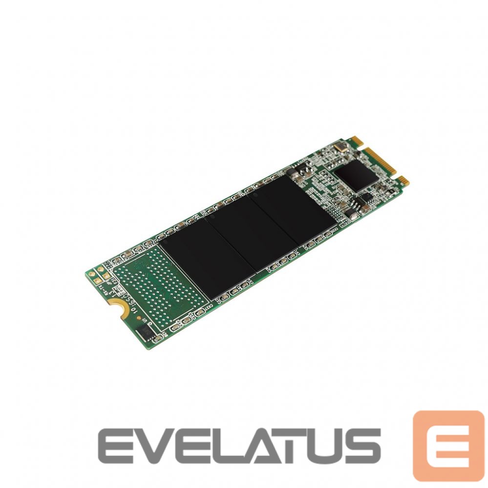 Hard drive SSD Silicon power A55 256 GB, SSD interface M.2 SATA, Write speed 450 MB/s, Read speed 550 MB/s