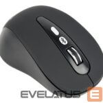 Computer mouse Gembird  6-button wireless optical mouse MUSW-6B-01 USB, Black 