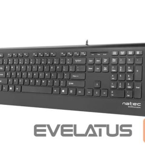 Computer keyboard Natec  Keyboard, Barracuda, US Layout, Slim 