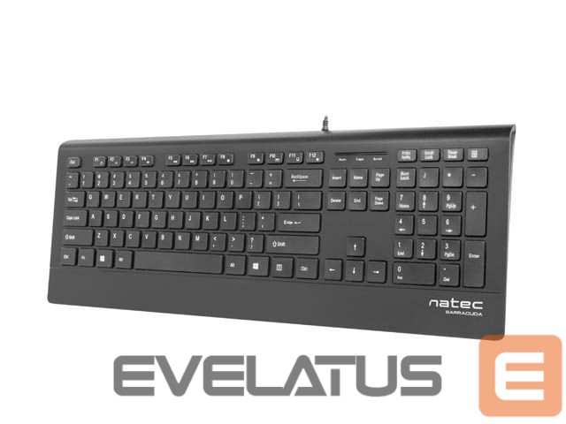 Arvuti klaviatuur Natec Keyboard, Barracuda, US Layout, Slim