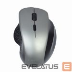 Arvutihiir Gembird  Wireless Optical mouse MUSW-6B-02-BG	 USB, Black-Spacegrey 