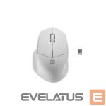Datora pele Natec  Mouse Siskin 2 	Wireless, White, USB Type-A 