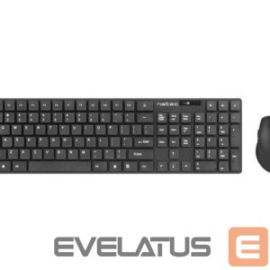 Computer keyboard Natec  Keyboard and Mouse  Stringray 2in1 Bundle Keyboard and Mouse Set, Wireless, US, Black 