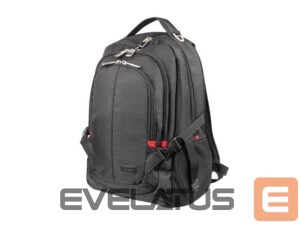 Sülearvuti kott Natec  Laptop Backpack Merino NTO-1703 Black, 15.6 ", Shoulder strap, Backpack 