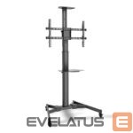 Televizoriaus laikiklis Digitus  TV-Cart for screens up to 70", max. 50kg wheelbase, VESA max. 600x400, Black 