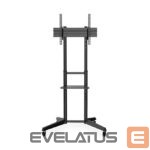 Кронштейн для телевизора Digitus  TV Cart with Shelf DA-90447	, 37-70 