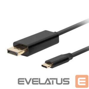 Adapteris Lanberg  USB-C to DisplayPort Cable, 3 m 4K/60Hz, Black 