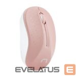 Datora pele Natec  Mouse, Toucan, Wireless, 1600 DPI, Optical, Pink-White 