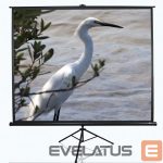 Экран для проекторов Elite Screens  Tripod Series T120NWV1 Diagonal 120 