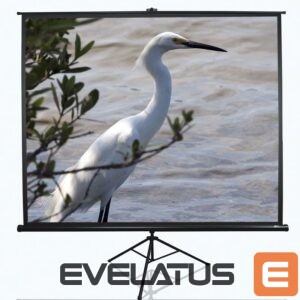 Projektori ekraan Elite Screens  Tripod Series T120NWV1 Diagonal 120 