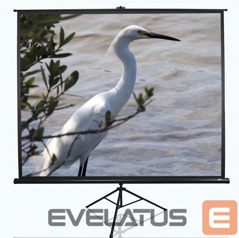 Projektori ekraan Elite Screens Tripod Series T120UWV1 Diagonal 120
