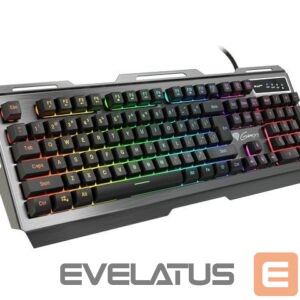 Computer keyboard Genesis  Rhod 420 Gaming keyboard, RGB LED light, US, Wired, Black 