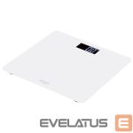 Scales Adler  Bathroom scale AD 8157w Maximum weight (capacity) 150 kg, Accuracy 100 g, Body Mass Index (BMI) measuring, White 