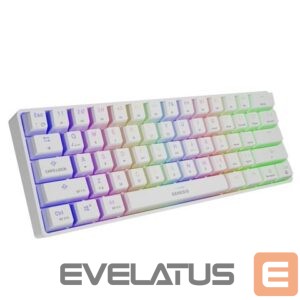 Computer keyboard Genesis  THOR 660 RGB Gaming keyboard, RGB LED light, US, White, Wireless/Wired, Wireless connection, Gateron Red Switch 