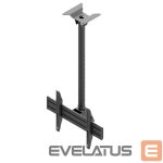 TV kronšteini EDBAK  Menu Board Ceiling Mount for One Screen Ceiling mount, MBV1155-L, 42-57 ", Maximum weight (capacity) 70 kg, 	Black 