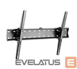 TV kronšteini Gembird  TV wall mount  WM-70T-02 37-70 ", Maximum weight (capacity) 40 kg, Black 