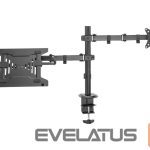 Teleri kinnitus Digitus  Universal Monitor Mount with Notebook Holder 