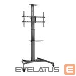 Monitor accessory Assman electronic  DIGITUS TV-Cart for screens up to 70inch 