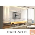 Televizoriaus laikiklis Reflecta  PLANO Flat 70-6040 37-70inch 