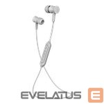Belaidės ausinės Sponge  Free Earphones 