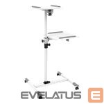 Kitas kompiuterio priedas Techly  Universal projector / notebook trolley with two shelves White