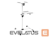 Other Computer Accessory Techly  Universal projector / notebook trolley with two shelves White