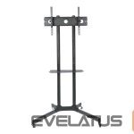 Computer components Techly  309982  Mobile stand for TV 