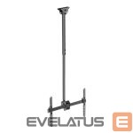 Monitoriaus priedas Techly  TECHLY 309357 Techly Ceiling mount for T 