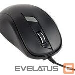 Arvutihiir Gembird  GEMBIRD MUS-6B-01 Gembird optical mouse 