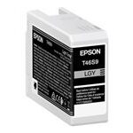 Printer accessories EPSON  EPSON Singlepack Light Gray T46S9 UltraC 