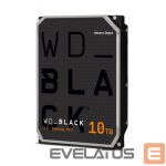 Жесткий диск HDD Western Digital  HDD||Black|10TB|256 MB|7200 rpm|3,5 