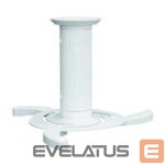 Televizoriai ir jų priedai NEOMOUNTS  PROJECTOR ACC CEILING MOUNT/BEAMER-C80WHITE 