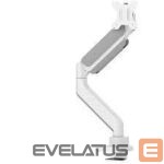 Telerite tarvikud NEOMOUNTS  MONITOR ACC DESK MOUNT 17-42"/DS70-450WH1 