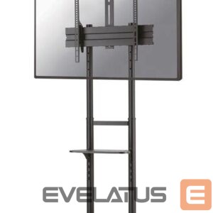 Telerite tarvikud NEOMOUNTS  TV SET ACC FLOOR STAND 37-70"/FL50-550BL1 