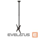 Televizoriai ir jų priedai NEOMOUNTS  TV SET ACC CEILING MOUNT 32-75/FPMA-C340BLACK 