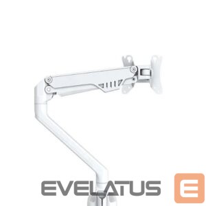 Televizoriai ir jų priedai NEOMOUNTS  MONITOR ACC DESK MOUNT 10-32"/FPMA-D750WHITE2 