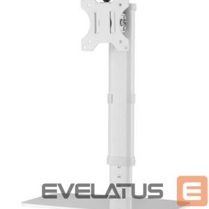 Telerite tarvikud NEOMOUNTS  MONITOR ACC DESK MOUNT 10-30"/FPMA-D890WHITE 