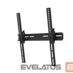 TV aksesuāri NEOMOUNTS  TV SET ACC WALL MOUNT/WL35-350BL14 