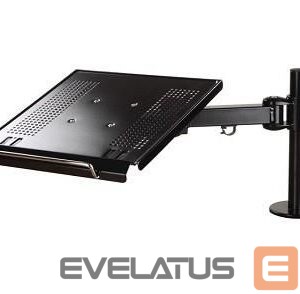 Cita datorprece NEOMOUNTS  NB ACC DESK MOUNT 10-22"/NOTEBOOK-D100 