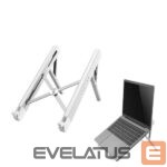 Muu arvutitarvik NEOMOUNTS  NB ACC DESK STAND 11-17"/NSLS010 