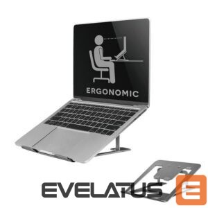 Cita datorprece NEOMOUNTS  NB ACC DESK STAND 10-17"/NSLS085GREY 