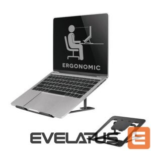 Cita datorprece NEOMOUNTS  NB ACC DESK STAND 10-17"/NSLS085BLACK 