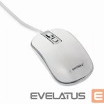 Arvutihiir Gembird  MOUSE USB OPTICAL WHITE/SILVER/MUS-4B-06-WS 