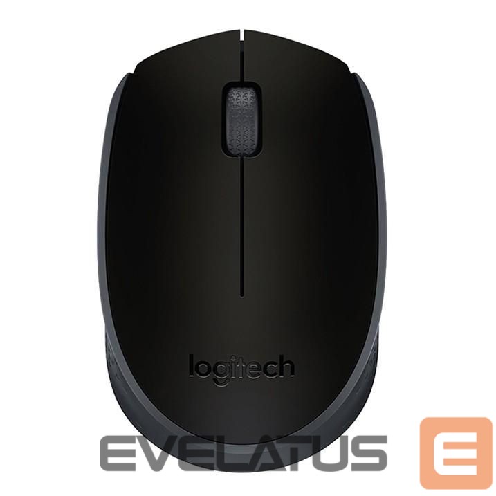 Computer mouse Logitech MOUSE USB OPTICAL WRL M171/BLACK 910-004424