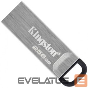 Flash drive Kingston  MEMORY DRIVE FLASH USB3.2/256GB DTKN/256GB 