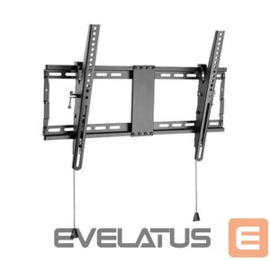 TV aksesuāri Gembird  TV SET ACC WALL MOUNT 37-80"/WM-80T-01 