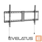 Televizoriai ir jų priedai Gembird  TV SET ACC WALL MOUNT 43-90"/WM-90F-01 