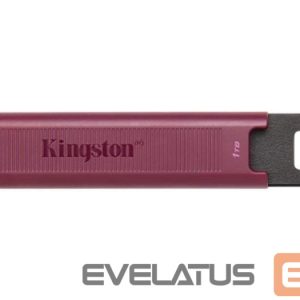 Mälupulk Kingston  MEMORY DRIVE FLASH USB3.2/1TB DTMAXA/1TB 